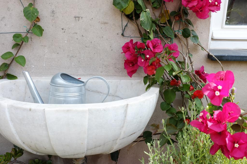 La Terrazza Di Vico Olivi B&B Ventimiglia Dış mekan fotoğraf